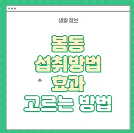 봄동의 섭취방법,효과,고르는 방법